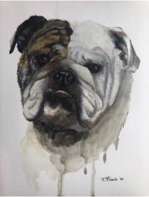 Portrait Painting of a Bulldog in a realistic style with artistic splashes and strokes at the bottom.